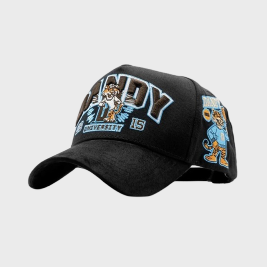 Dandy University Snapback Hat